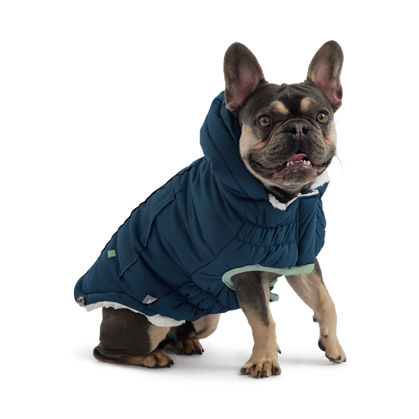 GF Pet Arctic Parka - Teal