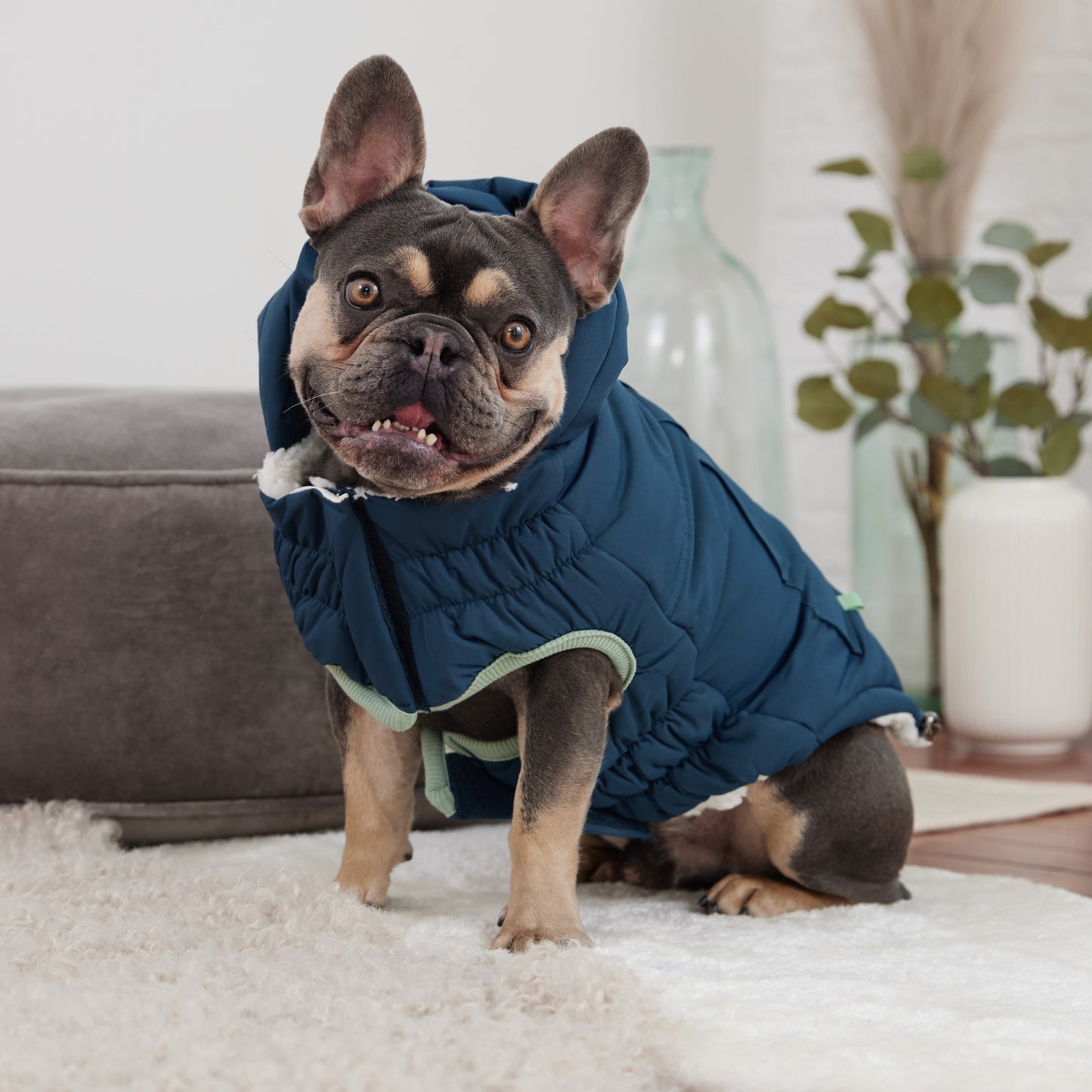 GF Pet Arctic Parka - Teal